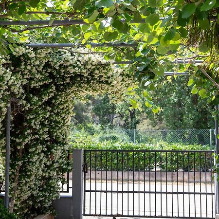 Apartmani Dina Biograd Na Moru Εξωτερικό φωτογραφία