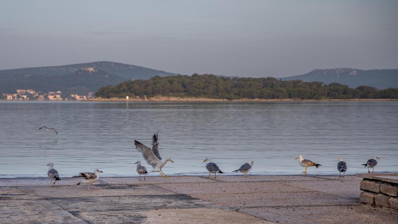 Apartmani Dina Biograd Na Moru Εξωτερικό φωτογραφία