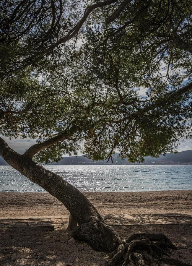 Apartmani Dina Biograd Na Moru Εξωτερικό φωτογραφία